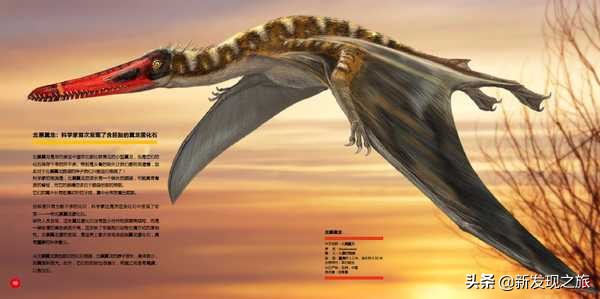 地球第六次生物大灭绝会怎么样,地球曾出现过几次物种大灭亡