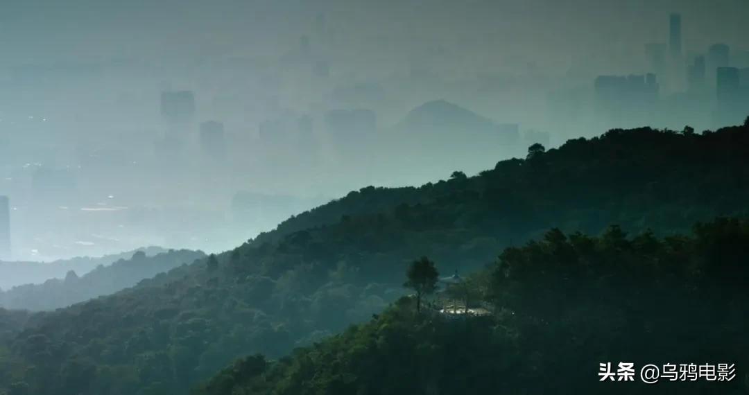 横扫电影节奖项,横扫国际影展