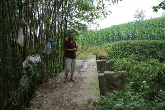 寻找。嘉明镇龙桥