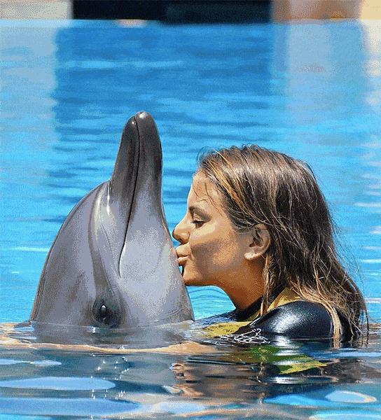 三亚亚特兰蒂斯五一自由行套餐,海南亚特兰蒂斯免费游玩