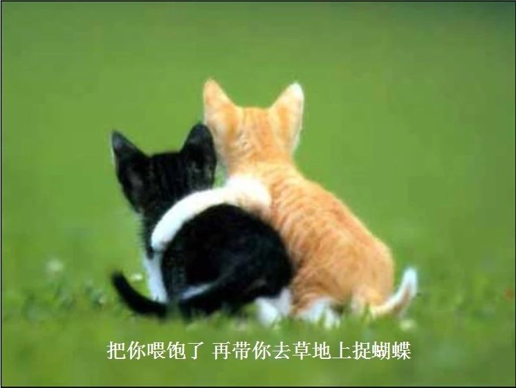 我只想说声爱你,只想再爱你一次