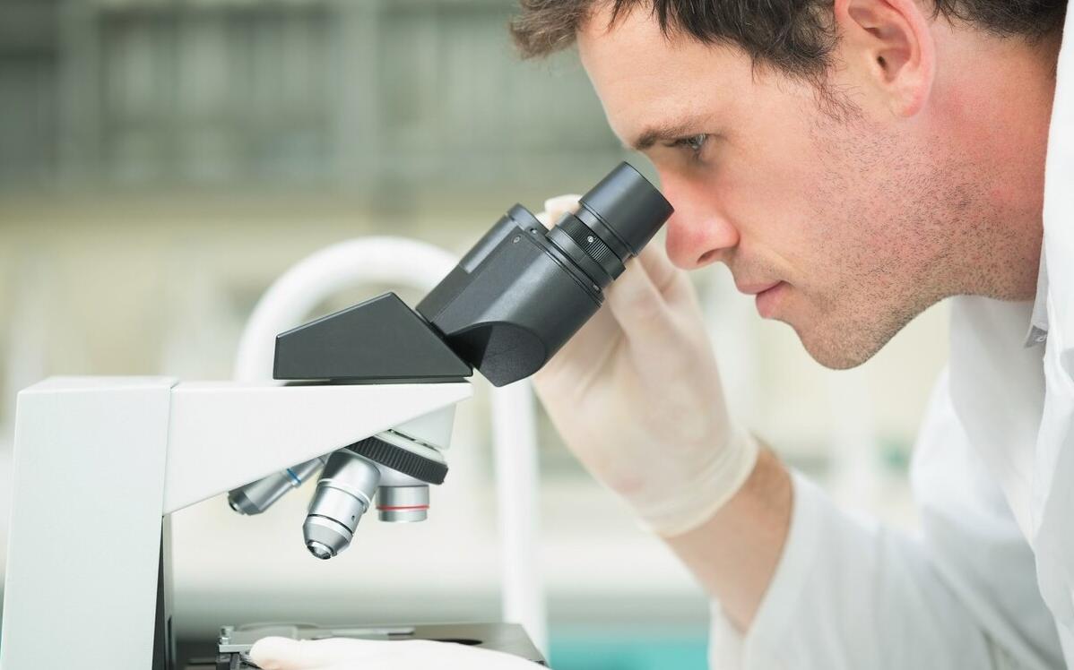 五加皮泡酒能治什么病,五加皮利水消肿