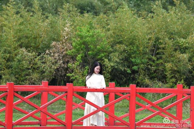 大美新蔡生态水城,大美新蔡等你来