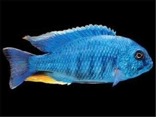 闈炴床鎱堥卜浠嬬粛,闈炴床鎱堥卜