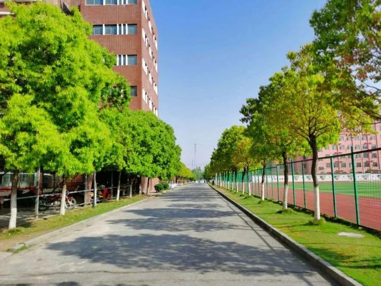 @亲爱的浠水思源学子：疫散花开，等你回来！