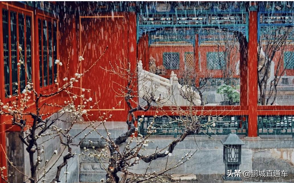 深圳市昨天晚上下雨了吗,深圳下雨天空变绿