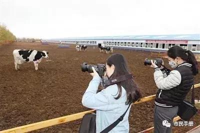 圣牧高科全程有机奶,圣牧高科天赋之旅