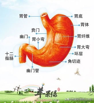 宝宝吐奶严重掌握这五点轻松解决,宝宝吐奶怎么解决最快最有效