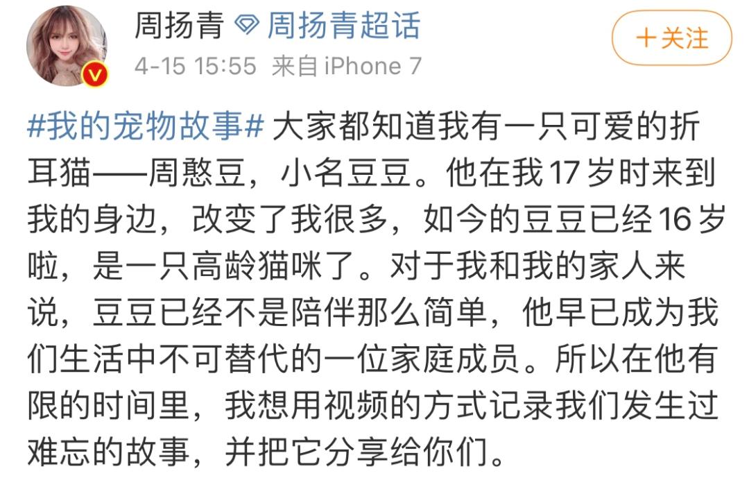 周扬青养的什么狗,周扬青呼吁不养折耳猫