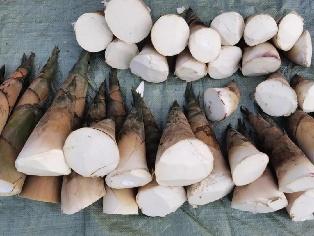 勐龙镇消费扶贫摊位回来啦！地摊经济搞起来