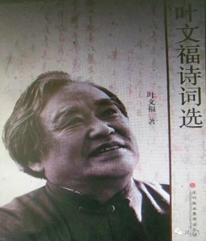 郭良小说,郭良电视剧全集