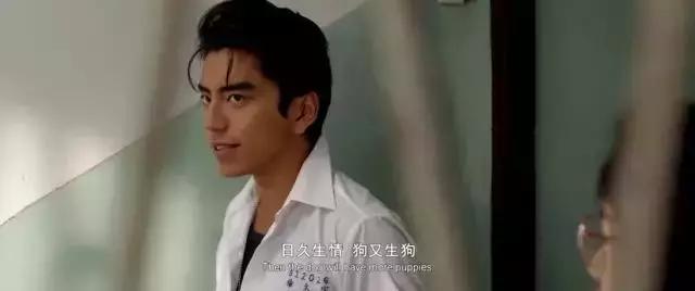 王大陆不笑的照片,王大陆帅不帅