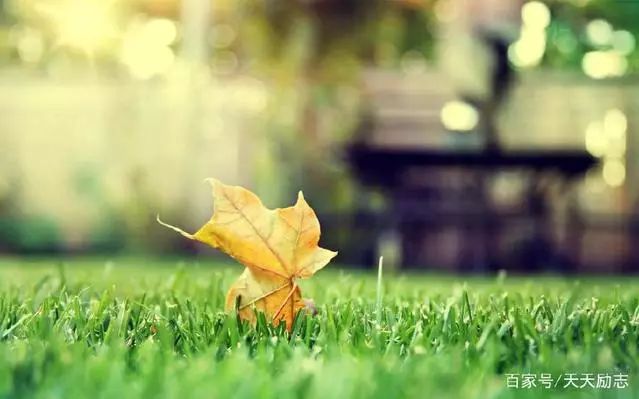 一念放下万般自在经典语录,一念放下万般自在视频