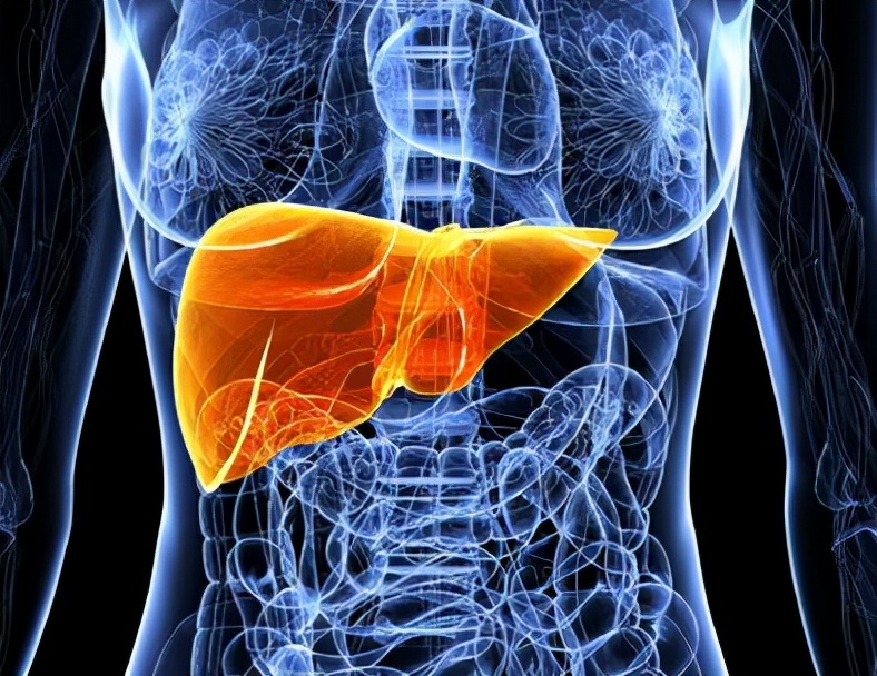 肝硬化腹水门静脉高压能活多久,肝硬化门静脉高压最新治疗方案