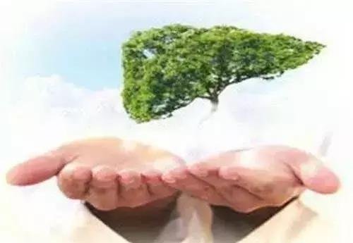 肝受损，身体有这些异常反应？！要提高警惕！