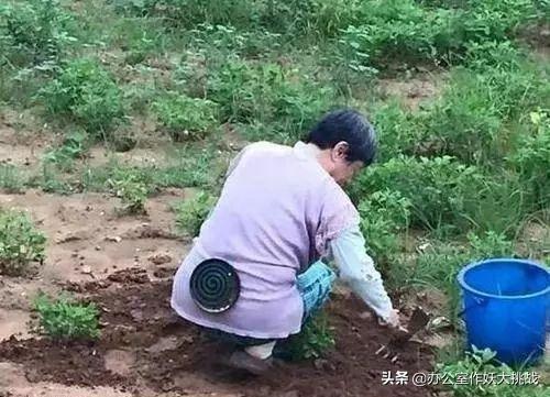 缃戣喘杩斿埄鎼炵瑧,鎼炵瑧璐墿杩斿埄