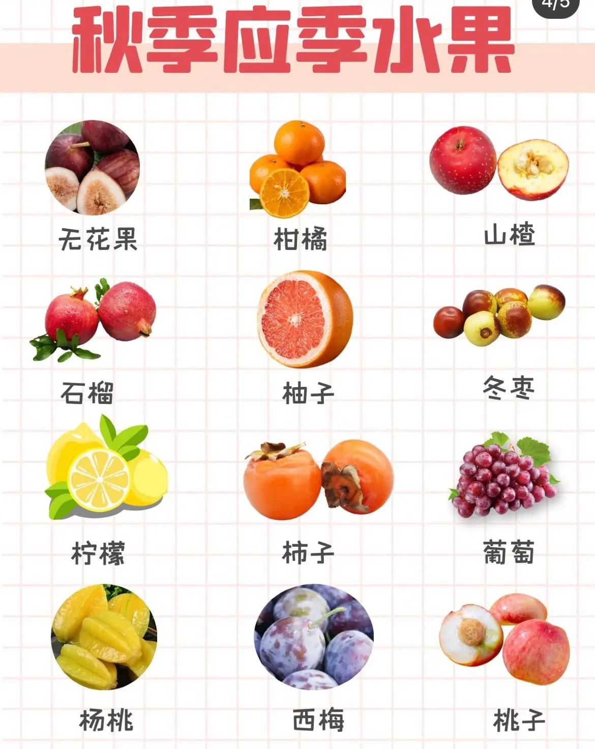 应季水果旅游攻略,应季水果攻略