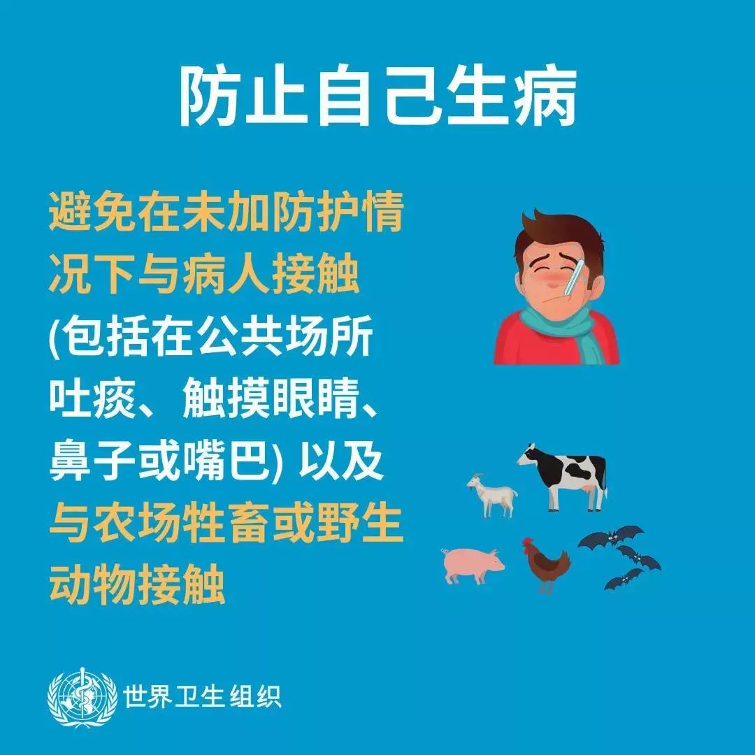 魔都囡囡运营者,魔都囡囡卤味好吃吗