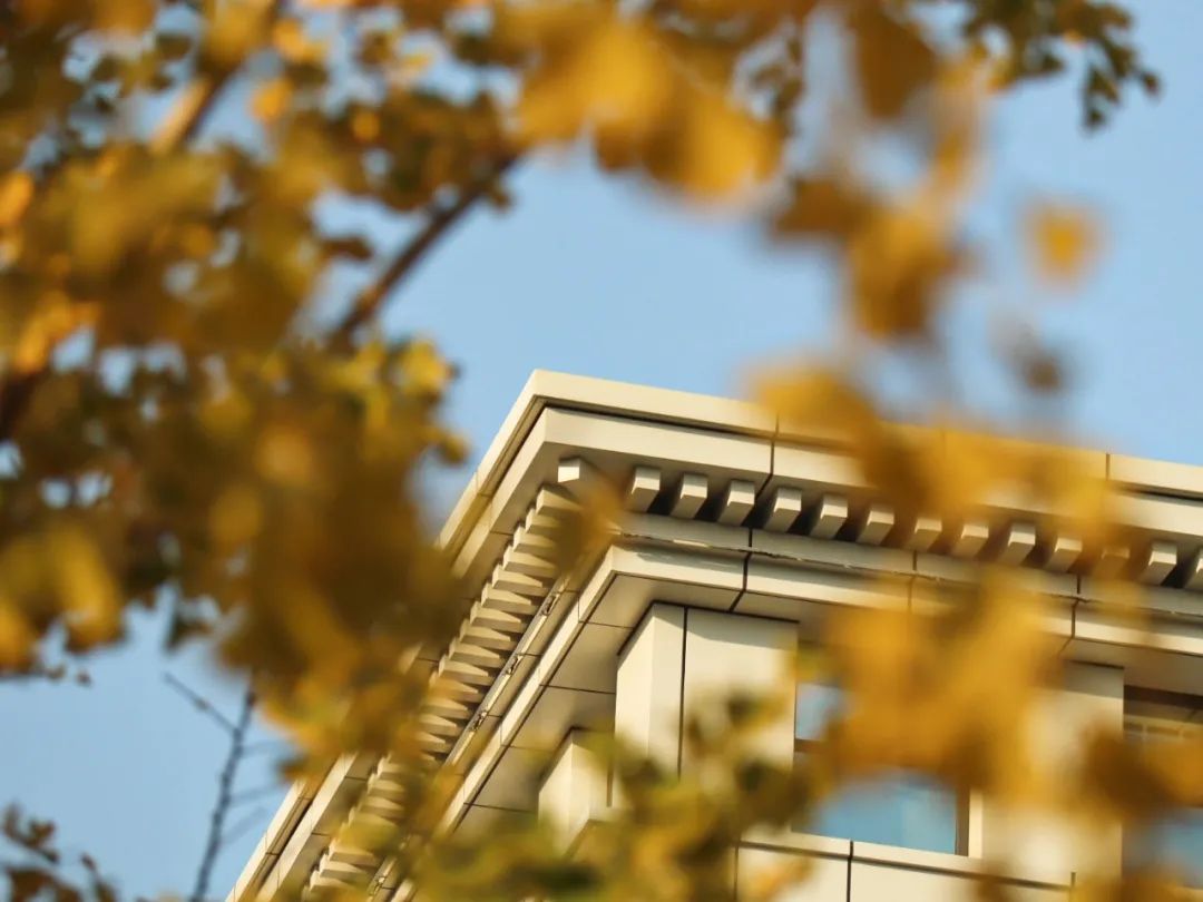 设计考研北航,北航设计学类怎么样