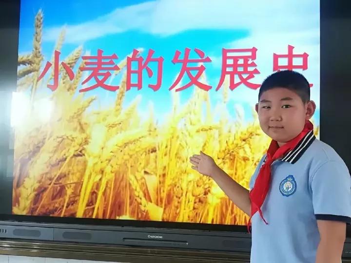 农耕文化研学插秧,农耕文化研学