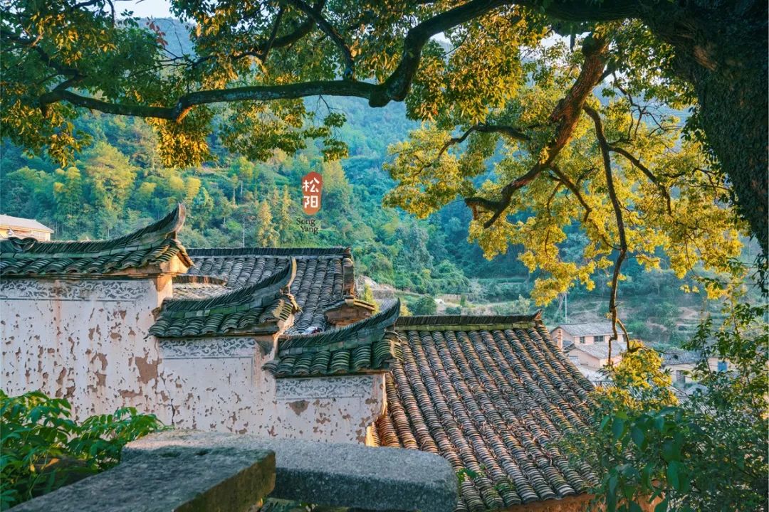 比乌镇安静比南浔古朴,藏不住了这里有最炫秋色