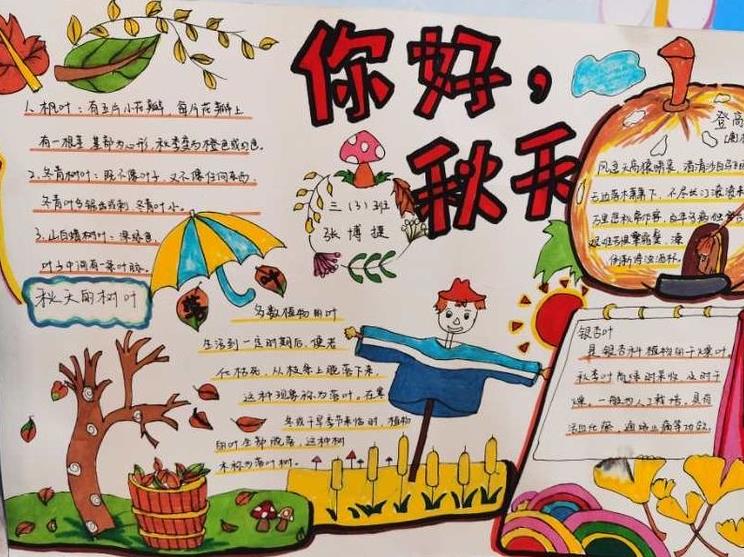 太有创意了！古城实小开展“秋•树叶”为主题的实践活动