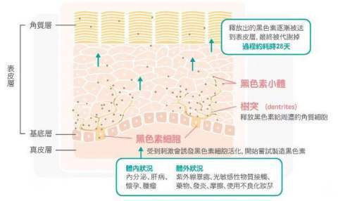 暑假美白攻略三招让你变美逆袭,秋季美白护肤方法