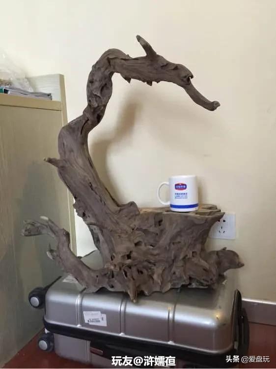 烂木头怎么样处理,烂木头有什么好方法处理