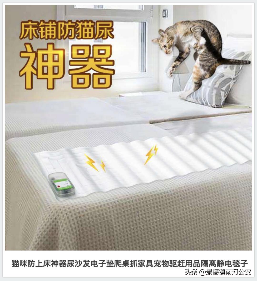 “割声带、截肢、电击,当爱变成我的噩梦”