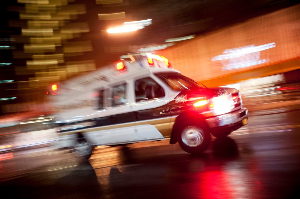 比眼镜蛇毒更厉害的动物,比眼镜蛇还毒20倍的海鲜