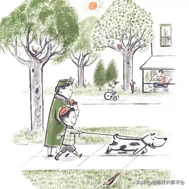 老师好睡前故事|《哈利的花毛衣》