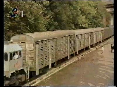 三趟快车|不为人知的“赶车人”（二）