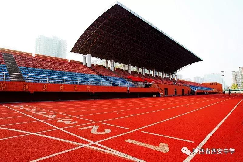 西安中学体育特长生报名条件,西安小升初体育特长生招收学校