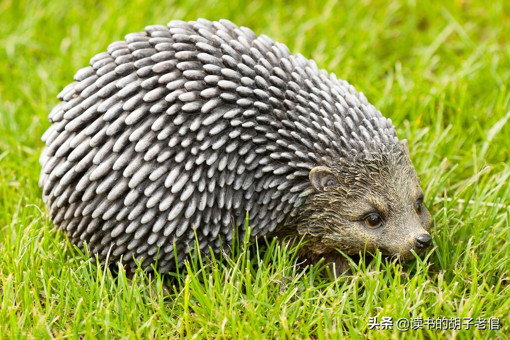 中年人怎么排解消极情绪,中年人怎样排除负面情绪