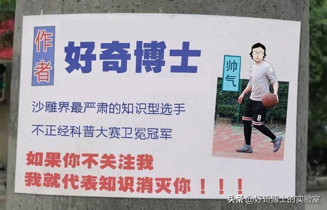 撸过猫撸过狗但你撸过“鱼”吗？