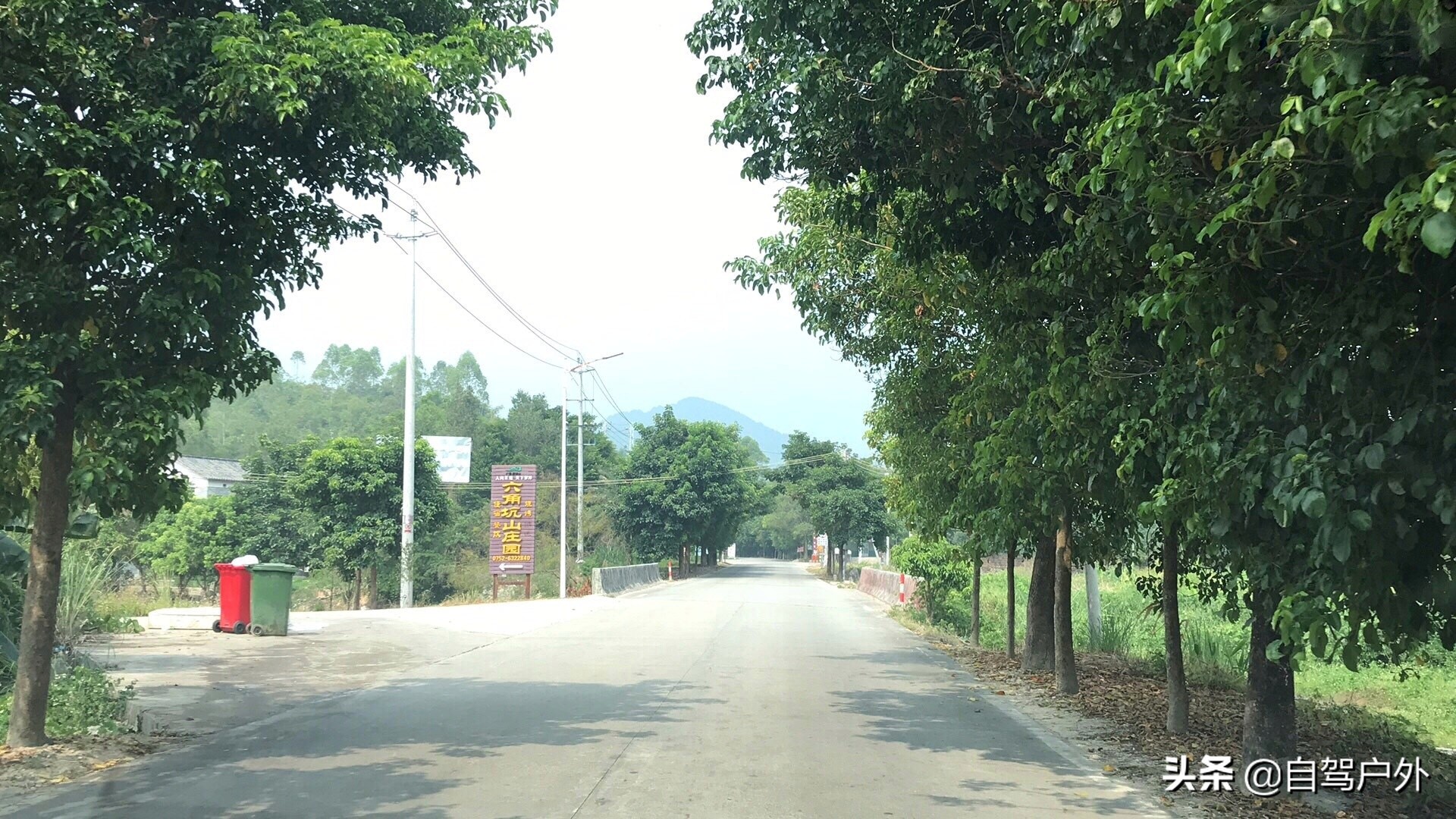 罗浮山脚下小溪露营地推荐,罗浮山休闲竹林露营攻略