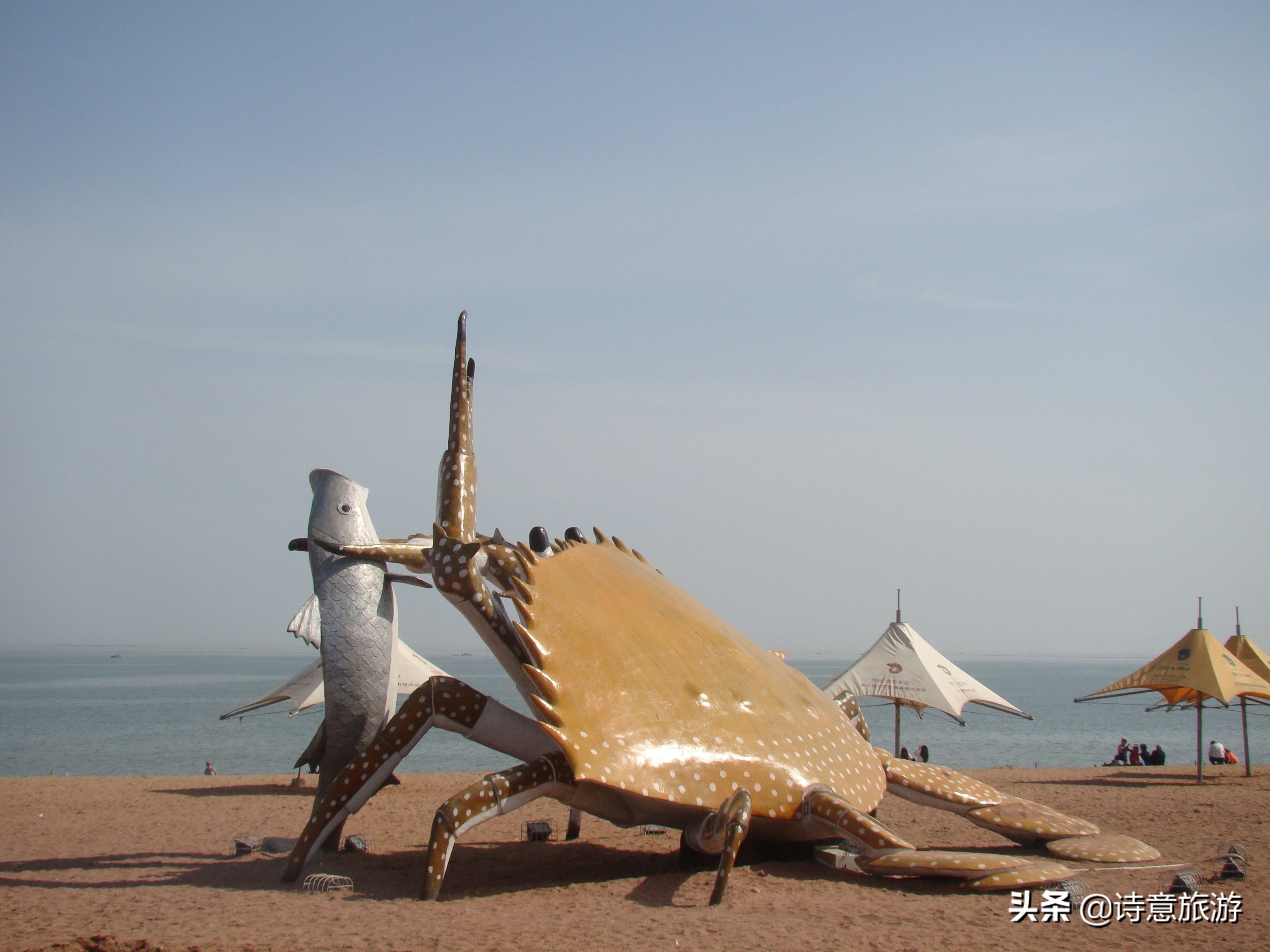 大连海滨旅游景区,大连游玩的景点推荐