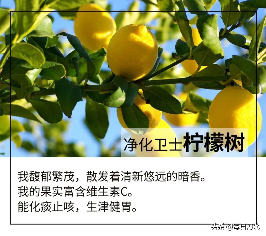 一个温暖又有趣的酒店,选择一个舒适温暖的酒店