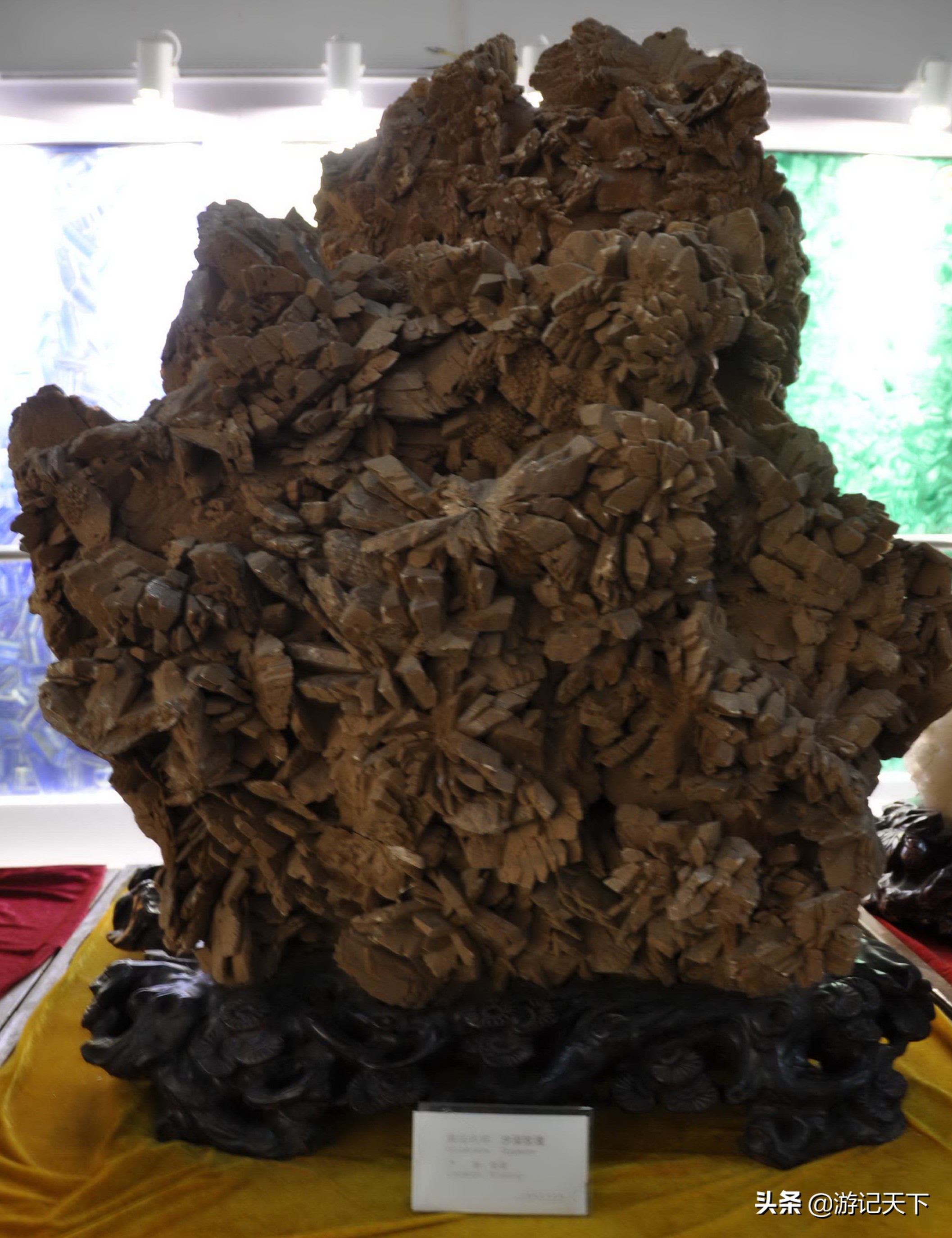 阿尼亚参观博物馆,上海地质科普馆游玩