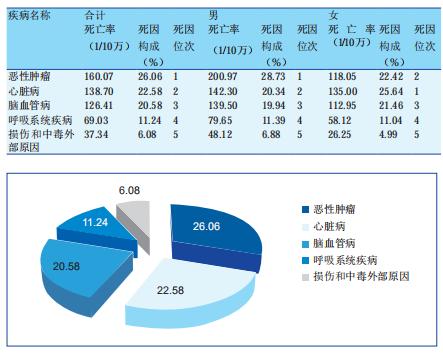 小心肝怎么吃,小心肝护肝茶
