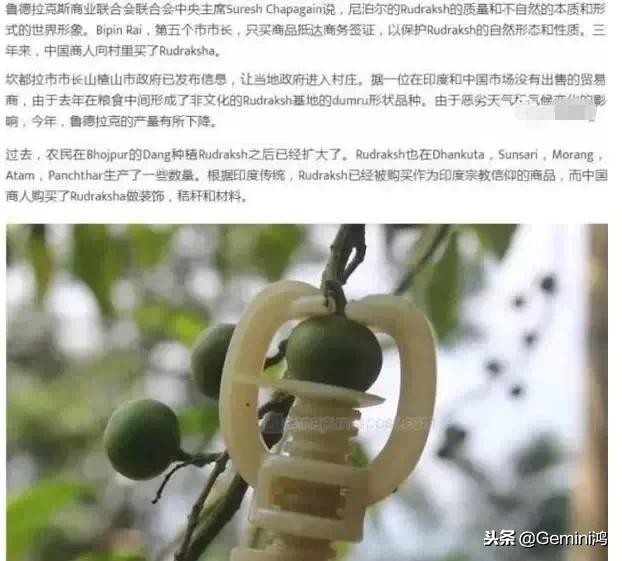 金刚菩提骗局大揭秘,金刚菩提骗局