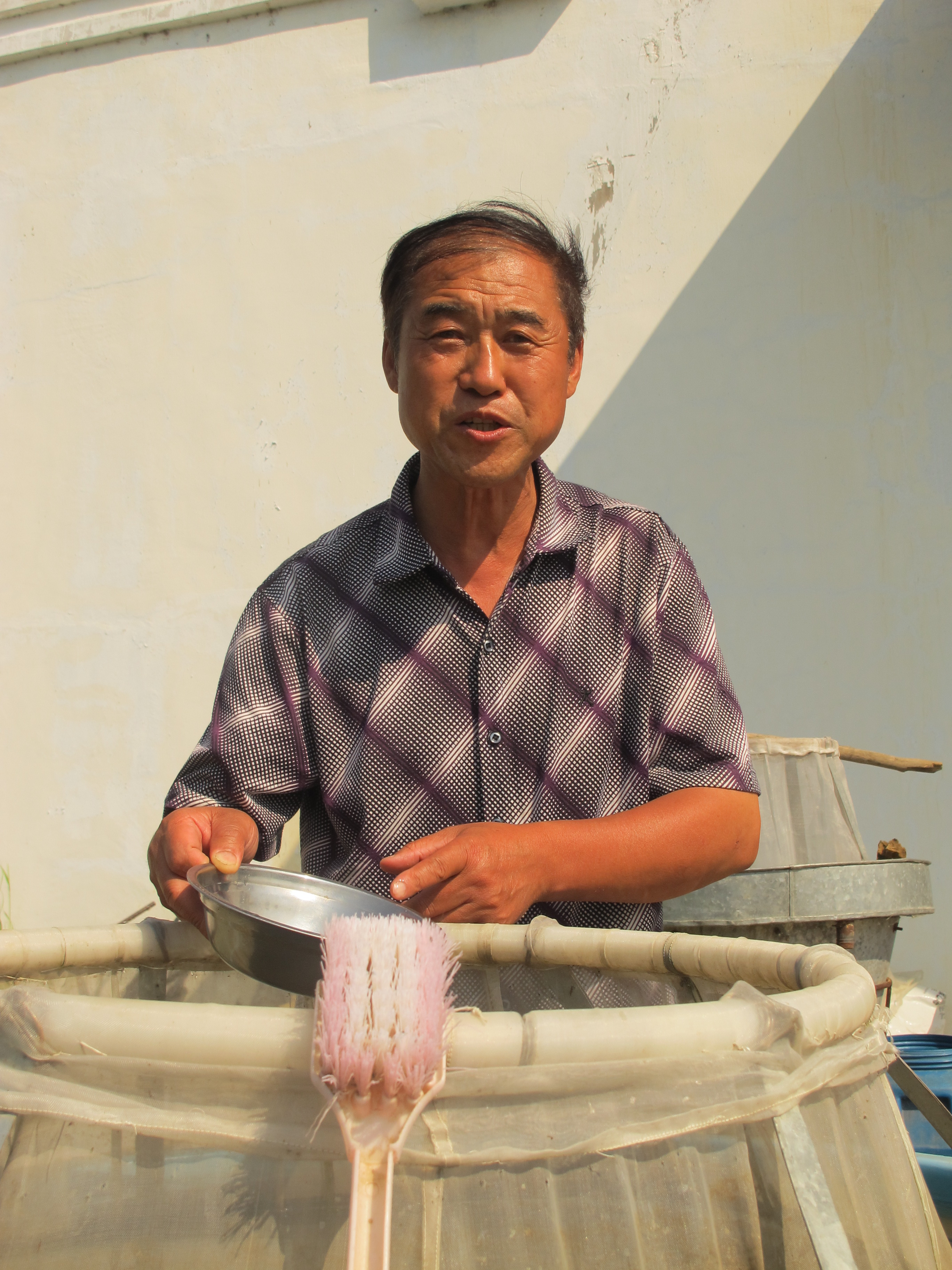 兴凯湖的大白鱼图片,兴凯湖纯野生大白鱼