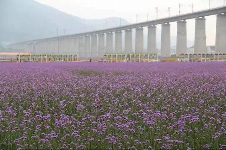 缙云景点排行榜前十,缙云旅游景点天气
