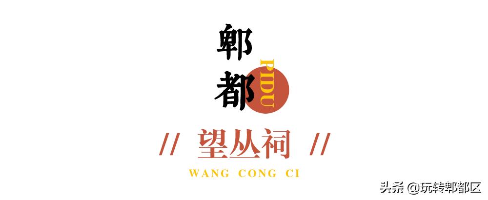 郫都区十大银杏打卡地,郫都区看银杏最好的地方