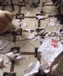 搞笑超市gif,超市减价的搞笑视频