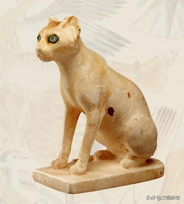 在古埃及神话中的猫传说,古埃及和猫的历史故事