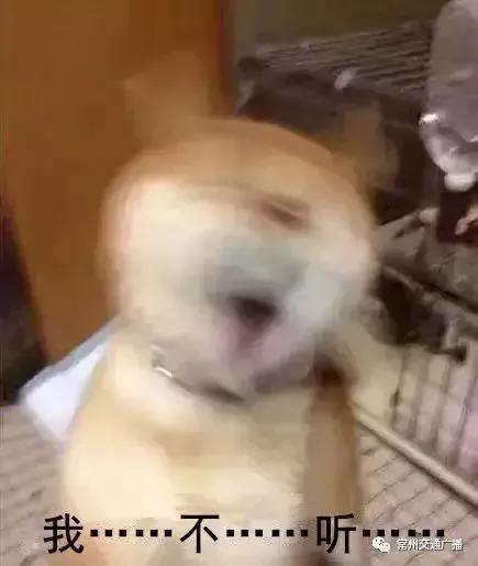 冷空气来袭襄阳,襄阳强冷空气最新消息