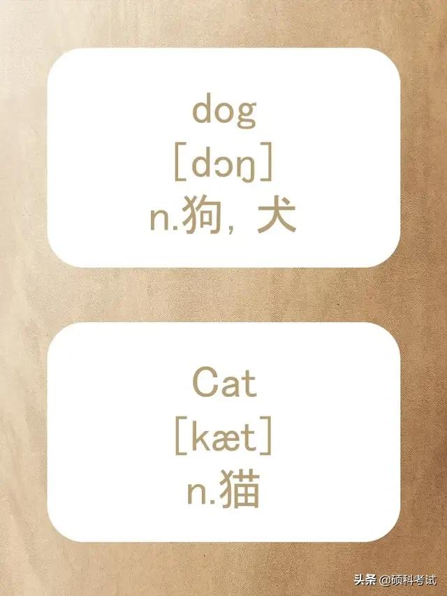 动物的英文拼写及音标,关于动物的单词及音标