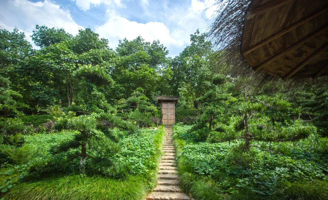 莫干山原木风绿野仙踪花园民宿,莫干山桃坡探险乐园绿野仙踪