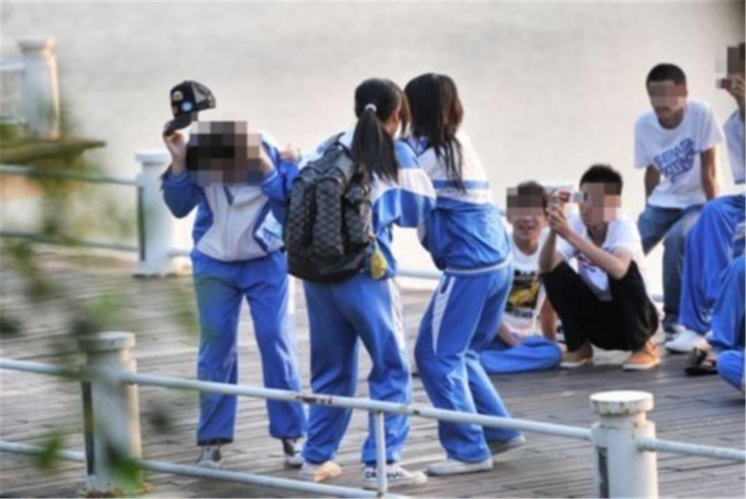 孩子被欺负怎么跟老师沟通李玫瑾,李玫瑾如果被欺负了是否要还手